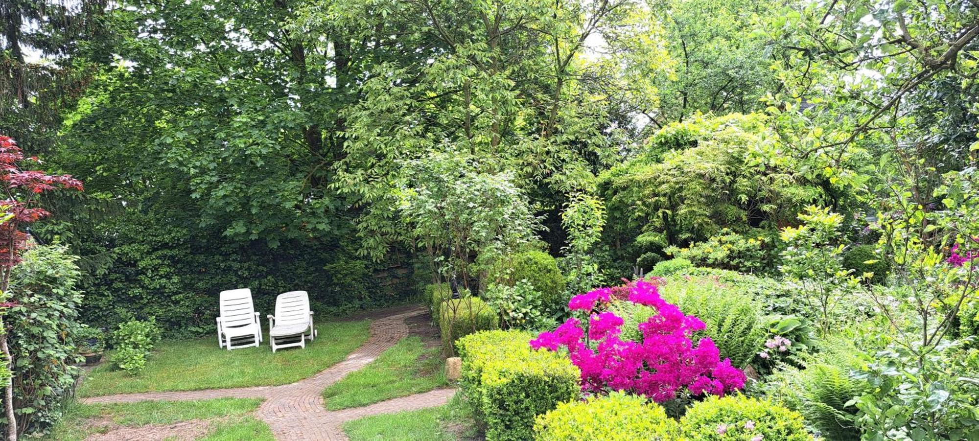 Guesthouse Vakantiehuis In Een Mooie Tuin In Het Centrum Van Zuidlaren! Exterior foto